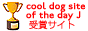 cool dog site of the day JAPAN 2003/12/12 ���  cool dog site of the day JAPAN - 2003/12 monthly best site 2004/02/01 ���