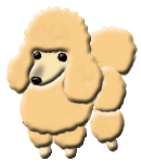 chico